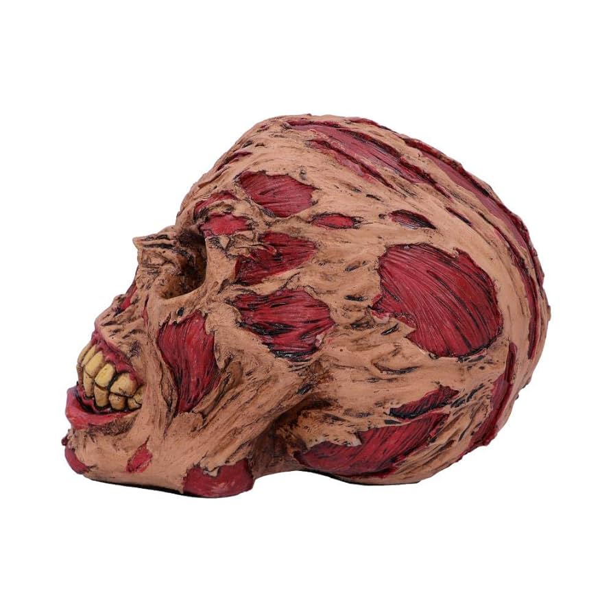 Nemesis Now D4964R0 Hoard Rotting Zombie Skull Ornament